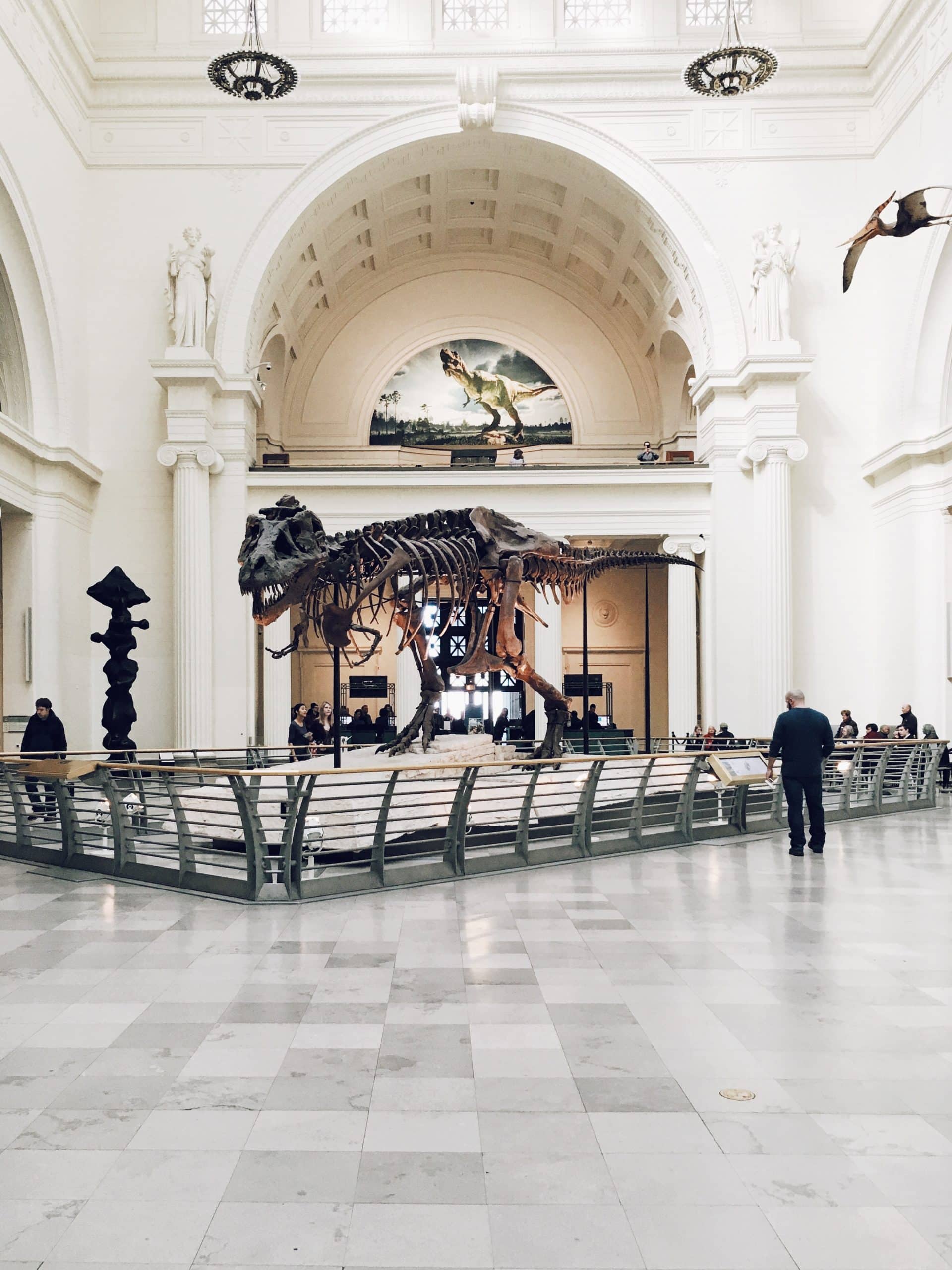Voir de l&rsquo;art sans sortir de chez soi