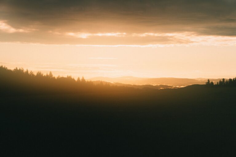 Quelles sont les bases de la composition photographique ?