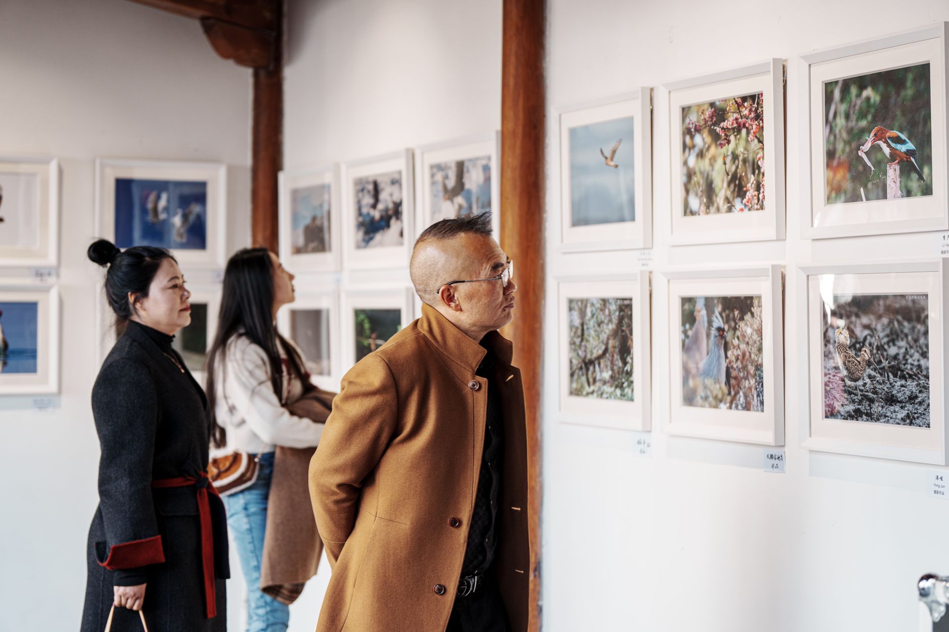 Des gens observant une exposition de photographie de nature dans une galerie d'art. Diverses œuvres exposées.